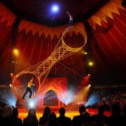 Gandeys circus will be at intu Merry Hill from Friday (October 21) and Sunday, October 30. Photo: Lesley Martin