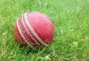 Birmingham League cricket: all the action from around the region