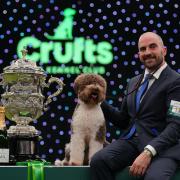 Crufts returns from March 7 to March 10 this year - here's how you can watch it on TV
