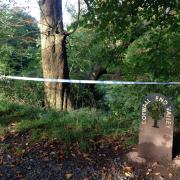 Detectives search Lower Gornal woodland in hunt for Natalie Putt