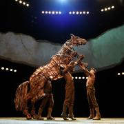 War Horse returns to Birmingham Hippodrome