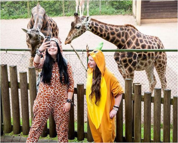 A giraffe onesie wearer grabs a giraffe selfie en-route!