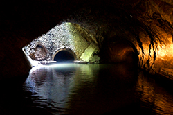 Dudley News: Dudley Canal and Tunnel Trust - Tunnel Entrance