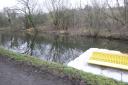 The canal where the puppies were discovered. Photo: RSPCA.