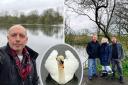 Cllr Adam Aston, left, Marco Longhi MP with local residents, right, and the remaining swan (inset). Pics courtesy of Cllr Aston and Marco Longhi MP