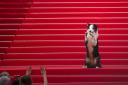 Messi the dog poses for photographers upon arrival at the awards ceremony and the premiere of the film The Second Act during the 77th international film festival in Cannes, southern France (Andreea Alexandru/Invision/AP)