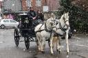 Foxdell Carriages arriving in Kinver in the snow to collect Brian Bone for his surprise 90th birthday ride. Pic - Miriam Balfry