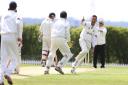 Himley's Ashfak Hussein celebrates a wicket on Saturday but the day ended in disappointment PHOTO BY AARON MANNING