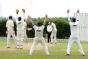 Himley's slip cordon appeals for another wicket last Saturday