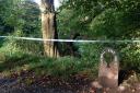 Detectives search Lower Gornal woodland in hunt for Natalie Putt