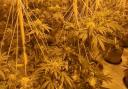 Cannabis factory discovered in old Brierley Hill bank building