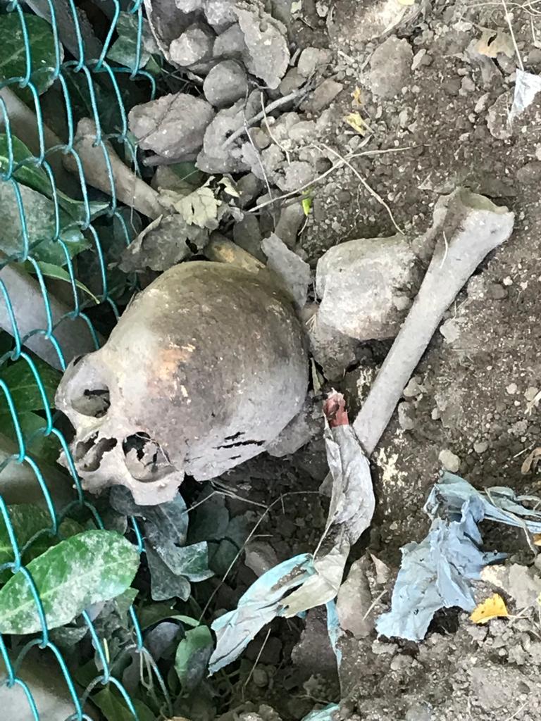 Black Country schoolboys discover human skull and bones in alleyway next to old, abandoned graveyard 13036749