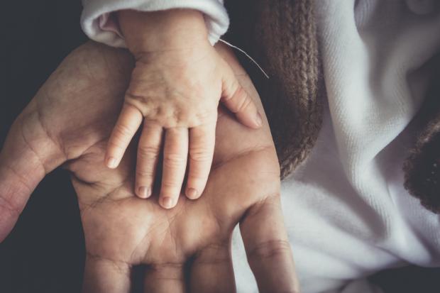 Dudley News: A Father and child's hand next to each other. Credit: Canva