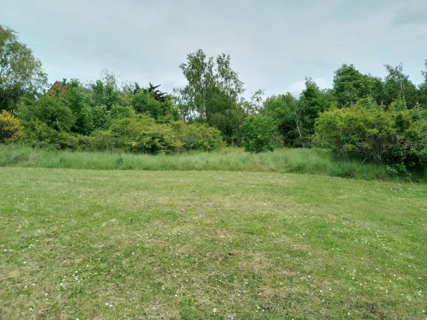 Dudley News: The open land off Culverhouse Drive