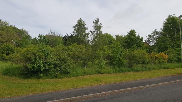 Dudley News: The land off Culverhouse Drive which was left as public open space when the Clockfields estate was built on a former open cast coal mining site