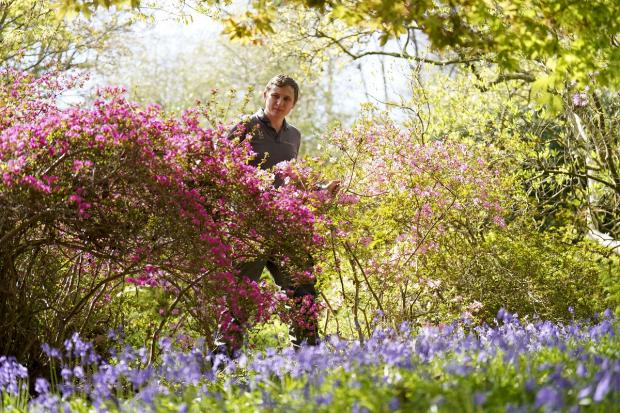Dudley News: National Trust properties are a great place to reconnect with nature: Picture: PA