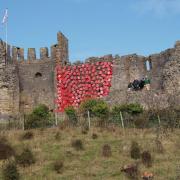 The poppies will be on display throughout November. Photo: Dudley Zoo and Castle.