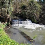 The Wordsley waterfall where a dead horse has been spotted in the water