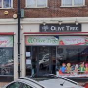The Olive Tree in Dudley