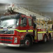 Dogs rescued in Dudley house fire