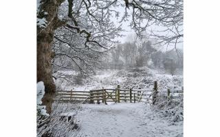 Live updates: snow hits the Black Country. Picture: Alec Longhurst/News Group Camera Club
