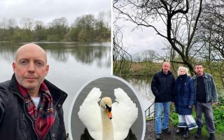 Cllr Adam Aston, left, Marco Longhi MP with local residents, right, and the remaining swan (inset). Pics courtesy of Cllr Aston and Marco Longhi MP