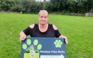 Gill Rhoden from Meadow View Mutts